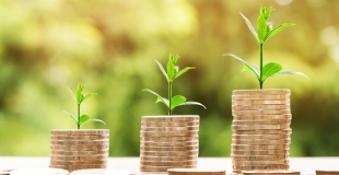 Comment bien gérer ses crédits pour ne pas se mettre en difficulté ?