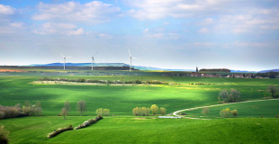 Développement Durable : définition, quels enjeux économiques ?